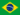 WBCブラジル代表